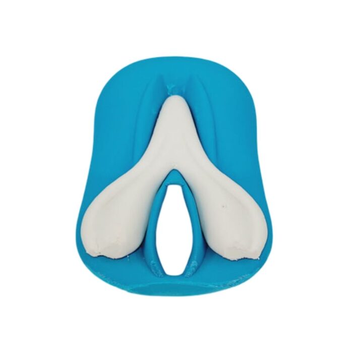 vulva og klitoris
